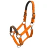 Schockemohle Memphis Headcollar Orange