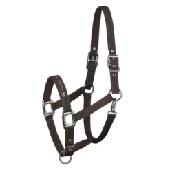 Schockemohle Memphis Headcollar Chocolate