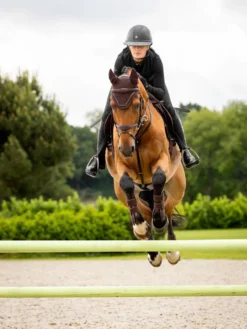 LeMieux Crystal Fly Hood Brown -PREMIER EQUINE 1s6a6270 edit copy