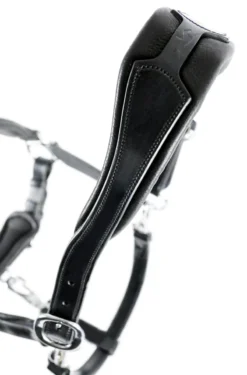 Schockemohle Fremont Leather Headcollar Black-Silver -PREMIER EQUINE 246 1310 00012 Fremont black detr3kuYsPYP7Gwt