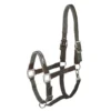 Schockemohle Memphis Safety Headcollar Anthra