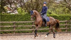 LeMieux Soft Shell Anti Slip Dressage Pad Navy -PREMIER EQUINE 3n6a1087 copy