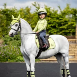 LeMieux Mini Fly Hood Kiwi -PREMIER EQUINE 5juerv6E