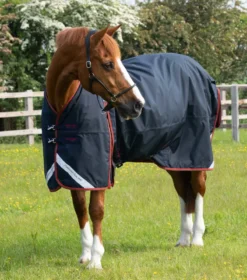 Premier Equine Buster 150g Turnout With Classic Neck Cover Navy -PREMIER EQUINE AW21 Buster 150 Navy 3