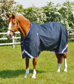 Premier Equine Buster 70g Turnout Rug With Classic Neck Cover Navy -PREMIER EQUINE AW21 Buster 70 Navy 3 2