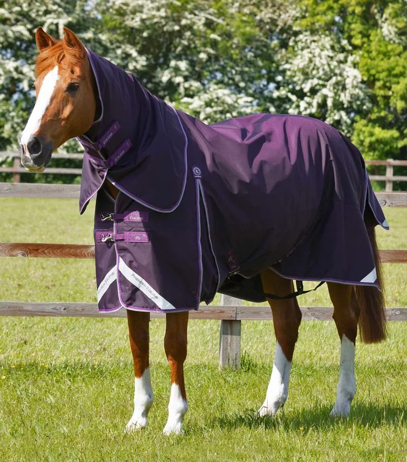 Premier Equine Buster 70g Turnout Rug With Classic Neck Cover Purple 1 Premier Equine Buster 70g Turnout Rug With Classic Neck Cover Purple