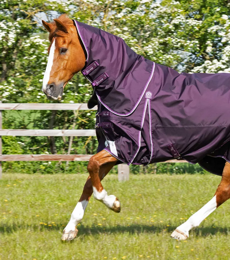 Premier Equine Buster 70g Turnout Rug With Classic Neck Cover Purple 2 Premier Equine Buster 70g Turnout Rug With Classic Neck Cover Purple - Image 2