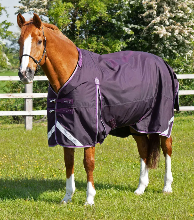 Premier Equine Buster 70g Turnout Rug With Classic Neck Cover Purple 3 Premier Equine Buster 70g Turnout Rug With Classic Neck Cover Purple - Image 3