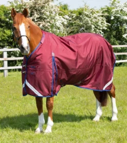 Premier Equine Buster 40g Turnout With Classic Neck Cover Burgundy -PREMIER EQUINE AW21 Buster40 Burgundy 3