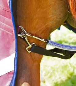 Premier Equine Buster 40g Turnout With Classic Neck Cover Burgundy -PREMIER EQUINE AW21 Buster40 Burgundy 6