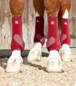 Premier Equine Air-Tech Sports Medicine Boots Burgundy -PREMIER EQUINE Air Tech Sports Medicine Boots Burgundy 3