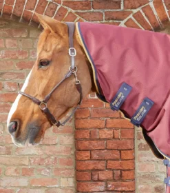 Premier Equine Akoni 0g Turnout With Classic Neck Cover Wine -PREMIER EQUINE Akoni Stratus 0g Burgundy 3