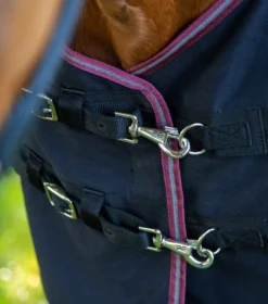 Premier Equine Barrasso Stable Sheet Black -PREMIER EQUINE Barrasso Stable Sheet Black 3