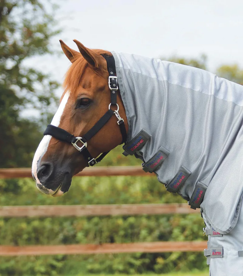 Premier Equine Bug Buster Fly Rug With Belly Flap 2 Premier Equine Bug Buster Fly Rug With Belly Flap - Image 2