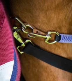 Premier Equine Titan 50g Turnout Rug With Classic Neck Cover Burgundy 10 Premier Equine Titan 50g Turnout Rug With Classic Neck Cover Burgundy -PREMIER EQUINE Burgundy shot 5