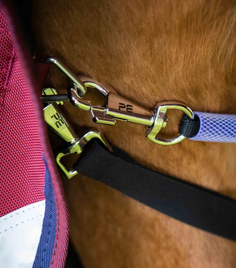 Premier Equine Titan 50g Turnout Rug With Classic Neck Cover Burgundy 5 Premier Equine Titan 50g Turnout Rug With Classic Neck Cover Burgundy - Image 5