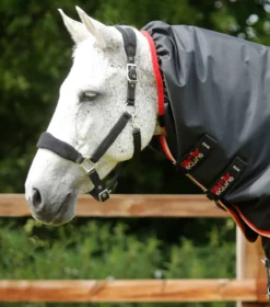 Premier Equine Buster 100g Turnout Rug With Snug-Fit Neck Cover Black -PREMIER EQUINE Buster 100 Turnout Rug Black 3