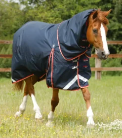 Premier Equine Buster 100g Turnout Rug With Snug-Fit Neck Cover Navy