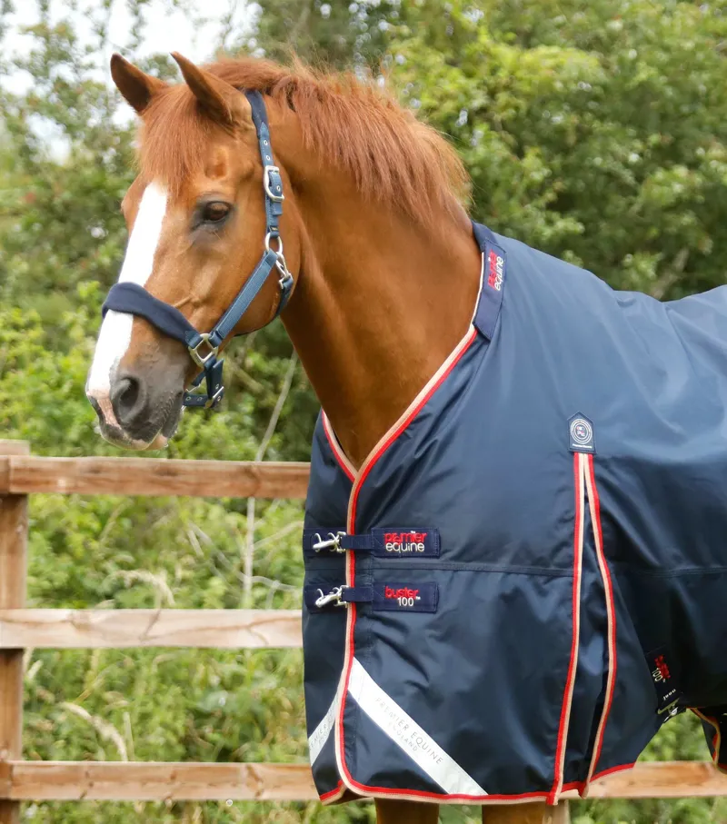 Premier Equine Buster 100g Turnout Rug With Snug-Fit Neck Cover Navy 2 Premier Equine Buster 100g Turnout Rug With Snug-Fit Neck Cover Navy - Image 2