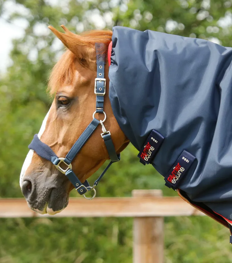 Premier Equine Buster 100g Turnout Rug With Snug-Fit Neck Cover Navy 3 Premier Equine Buster 100g Turnout Rug With Snug-Fit Neck Cover Navy - Image 3