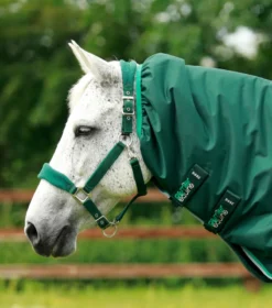Premier Equine Buster 200g Turnout Rug With Snug-Fit Neck Cover Green -PREMIER EQUINE Buster 200 Turnout Rug Green 3