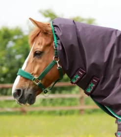 Premier Equine Buster 200g Turnout Rug With Snug-Fit Neck Cover Purple -PREMIER EQUINE Buster 200 Turnout Rug Purple 3