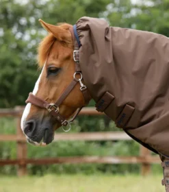 Premier Equine Buster 400g Turnout Rug With Snug-Fit Neck Cover Brown -PREMIER EQUINE Buster 400 Turnout Rug Brown 3
