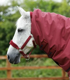 Premier Equine Buster 400g Turnout Rug With Snug-Fit Neck Cover Burgundy -PREMIER EQUINE Buster 400 Turnout Rug Burgundy 3