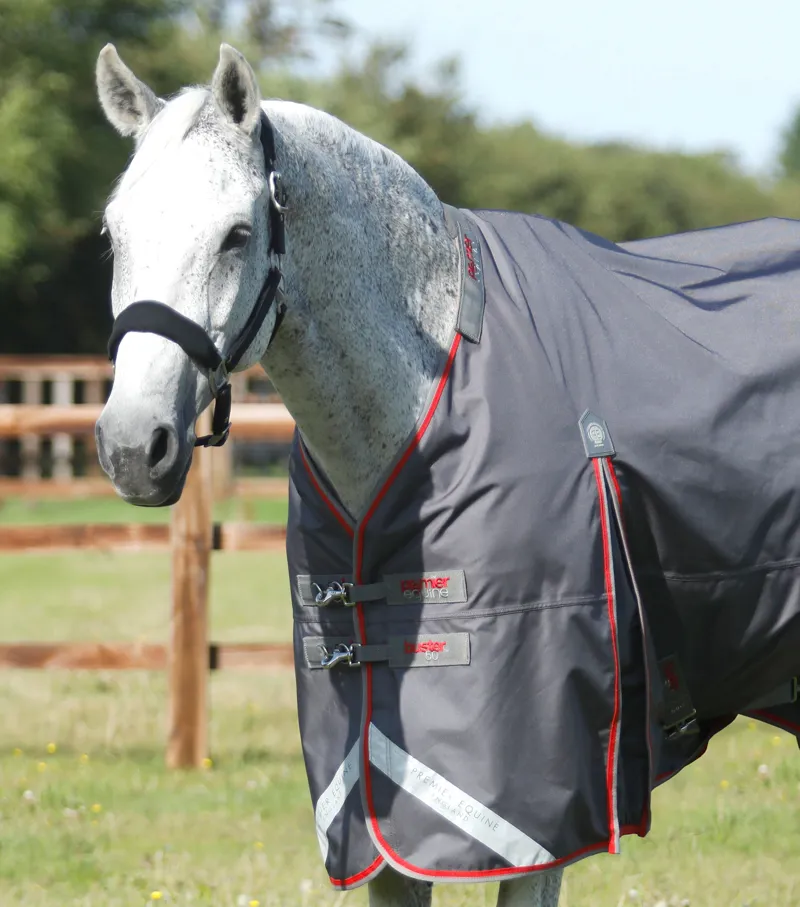 Premier Equine Buster 50g Turnout Rug With Snug-Fit Neck Cover Grey 2 Premier Equine Buster 50g Turnout Rug With Snug-Fit Neck Cover Grey - Image 2