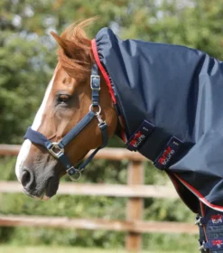 Premier Equine Buster 50g Turnout Rug With Snug-Fit Neck Cover Navy -PREMIER EQUINE Buster 50 Turnout Rug Navy 3