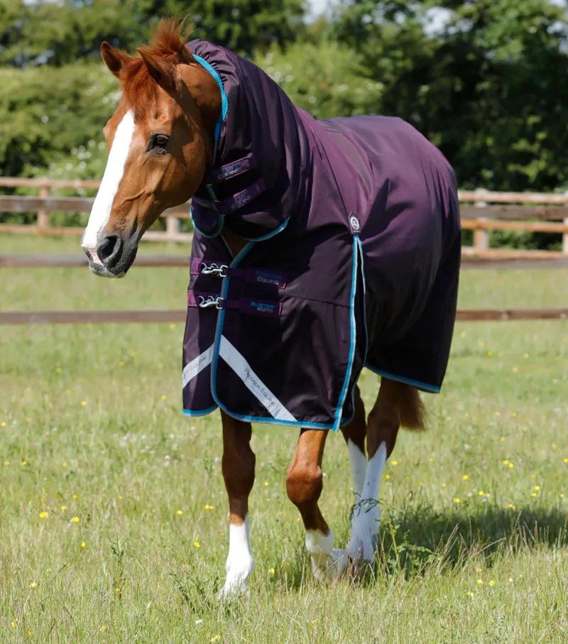 Premier Equine Buster Storm 100g Combo Turnout Rug With Snug-Fit Neck Purple 1 Premier Equine Buster Storm 100g Combo Turnout Rug With Snug-Fit Neck Purple