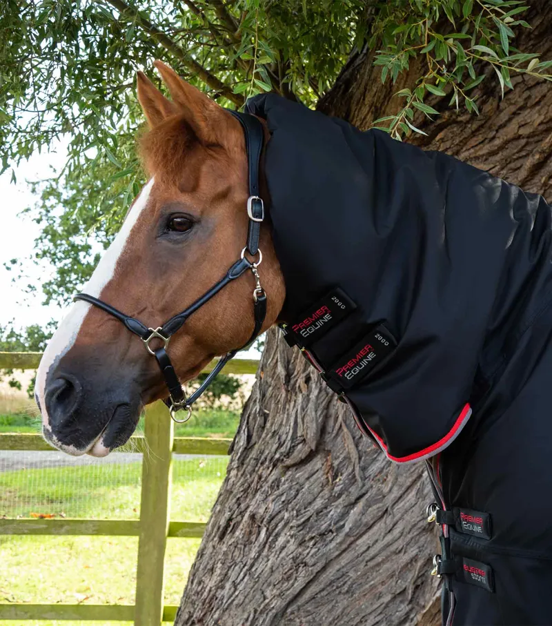 Premier Equine Buster Storm 400g Combo Turnout Rug With Snug-Fit Neck Black 2 Premier Equine Buster Storm 400g Combo Turnout Rug With Snug-Fit Neck Black - Image 2