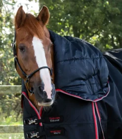 Premier Equine Buster Storm 400g Combo Turnout Rug With Snug-Fit Neck Black 8 Premier Equine Buster Storm 400g Combo Turnout Rug With Snug-Fit Neck Black -PREMIER EQUINE Buster Storm 400 Turnout Rug Black 3