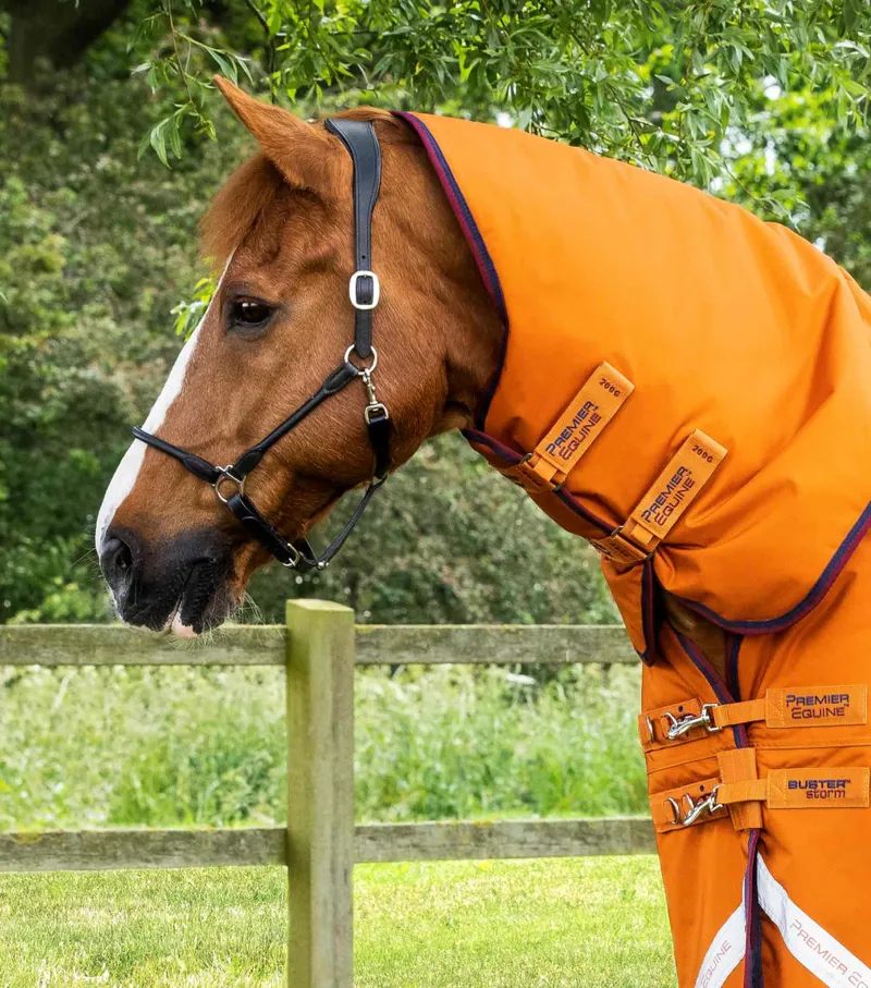 Premier Equine Buster Storm 200g Combo Turnout Rug With Classic Neck Orange 2 Premier Equine Buster Storm 200g Combo Turnout Rug With Classic Neck Orange - Image 2