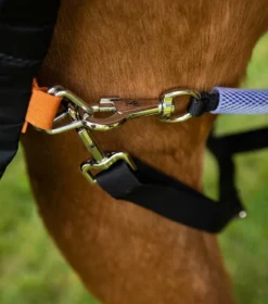 Premier Equine Buster Storm 400g Combo Turnout Rug With Classic Neck Burnt Orange -PREMIER EQUINE Buster Storm Burnt Orange 5 2