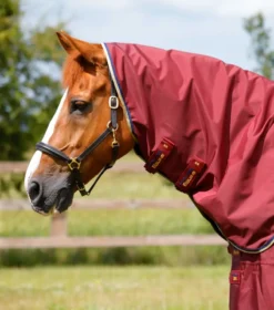 Premier Equine Buster Zero Turnout Rug With Classic Neck Cover Burgundy -PREMIER EQUINE Buster Zero Turnout Rug Burgundy 3