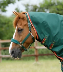 Premier Equine Buster Zero Turnout Rug With Classic Neck Cover Green -PREMIER EQUINE Buster Zero Turnout Rug Green 3