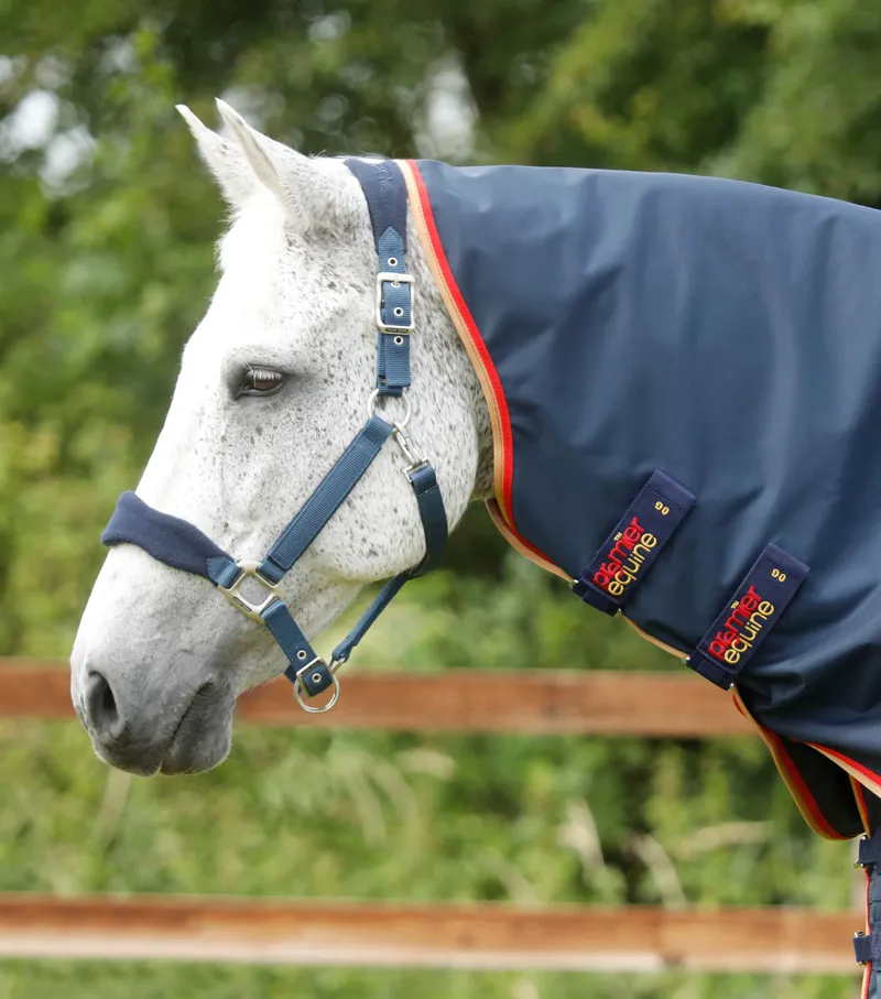 Premier Equine Buster Zero Turnout Rug With Classic Neck Cover Navy 3 Premier Equine Buster Zero Turnout Rug With Classic Neck Cover Navy - Image 3