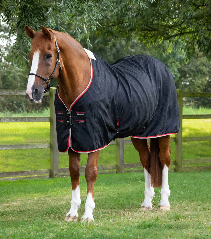 Premier Equine Buster Waffle Horse Cooler Rug Black 1 Premier Equine Buster Waffle Horse Cooler Rug Black
