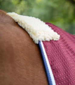 Premier Equine Buster Waffle Horse Cooler Rug Burgundy -PREMIER EQUINE Buster waffle cooler burgundy 3