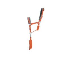 Hy Sport Active Head Collar And Lead Rope In Terracotta Orange/Grey