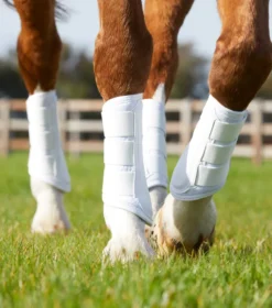 Premier Equine Carbon Air-Tech Single Locking Brushing Boots White -PREMIER EQUINE Carbon Air Tech Single Locking Brushing Boot White 7