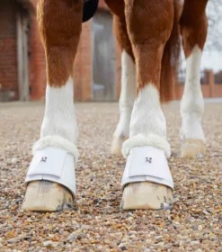 Premier Equine Carbon Tech Techno Wool Over Reach Boots White 7 Premier Equine Carbon Tech Techno Wool Over Reach Boots White -PREMIER EQUINE Carbon Tech Techno Wool Over Reach Boot White 4