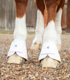 Premier Equine Carbon Wrap Over Reach Boots White -PREMIER EQUINE Carbon Wrap Over Reach Boot White 4