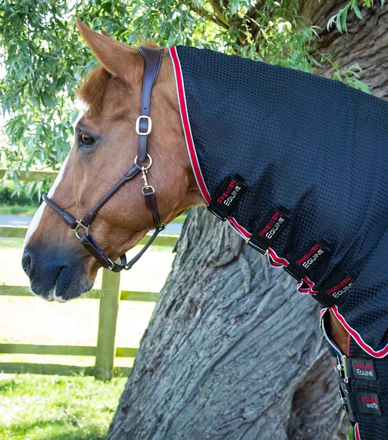 Premier Equine Combo Buster Waffle Horse Cooler Rug Black 2 Premier Equine Combo Buster Waffle Horse Cooler Rug Black - Image 2