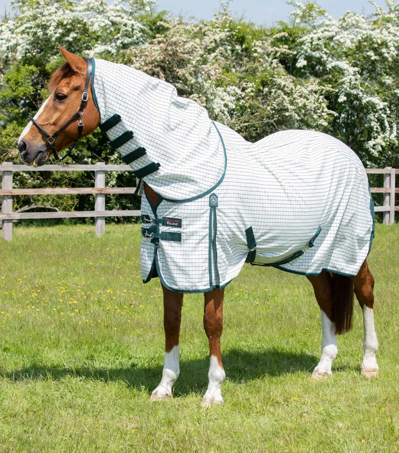 Premier Equine Combo Cotton Sheet Green Check 1 Premier Equine Combo Cotton Sheet Green Check