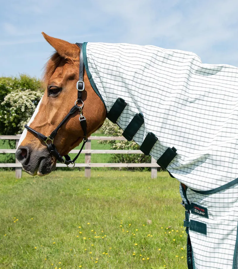 Premier Equine Combo Cotton Sheet Green Check 2 Premier Equine Combo Cotton Sheet Green Check - Image 2