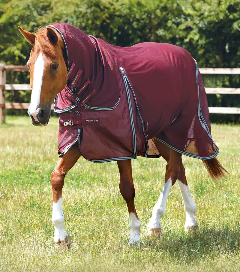 Premier Equine Combo Mesh Air Fly Rug With Surcingles Wine 1 Premier Equine Combo Mesh Air Fly Rug With Surcingles Wine