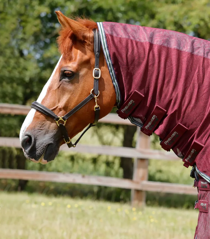 Premier Equine Combo Mesh Air Fly Rug With Surcingles Wine 2 Premier Equine Combo Mesh Air Fly Rug With Surcingles Wine - Image 2