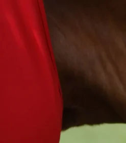 Premier Equine Comfort Tech Lycra Fly Mask Red -PREMIER EQUINE Comfort Tech Lycra Fly Mask Red 3